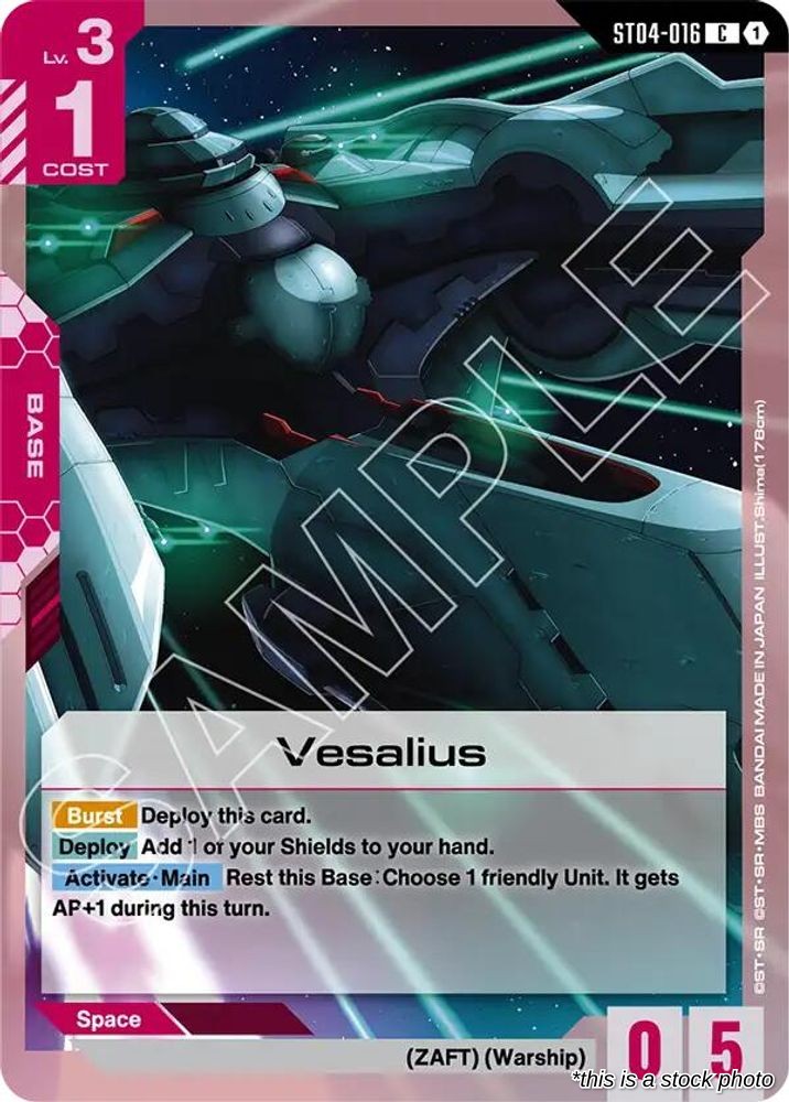 Vesalius