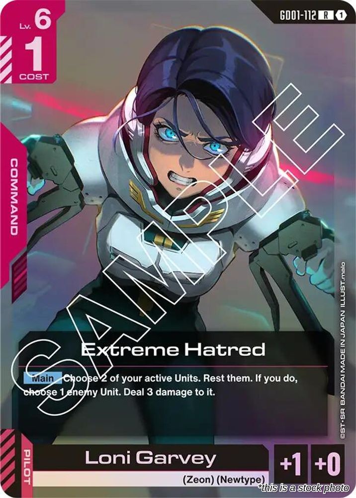 Extreme Hatred