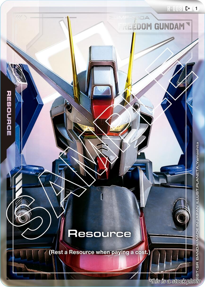 Resource (R-008) (C+)