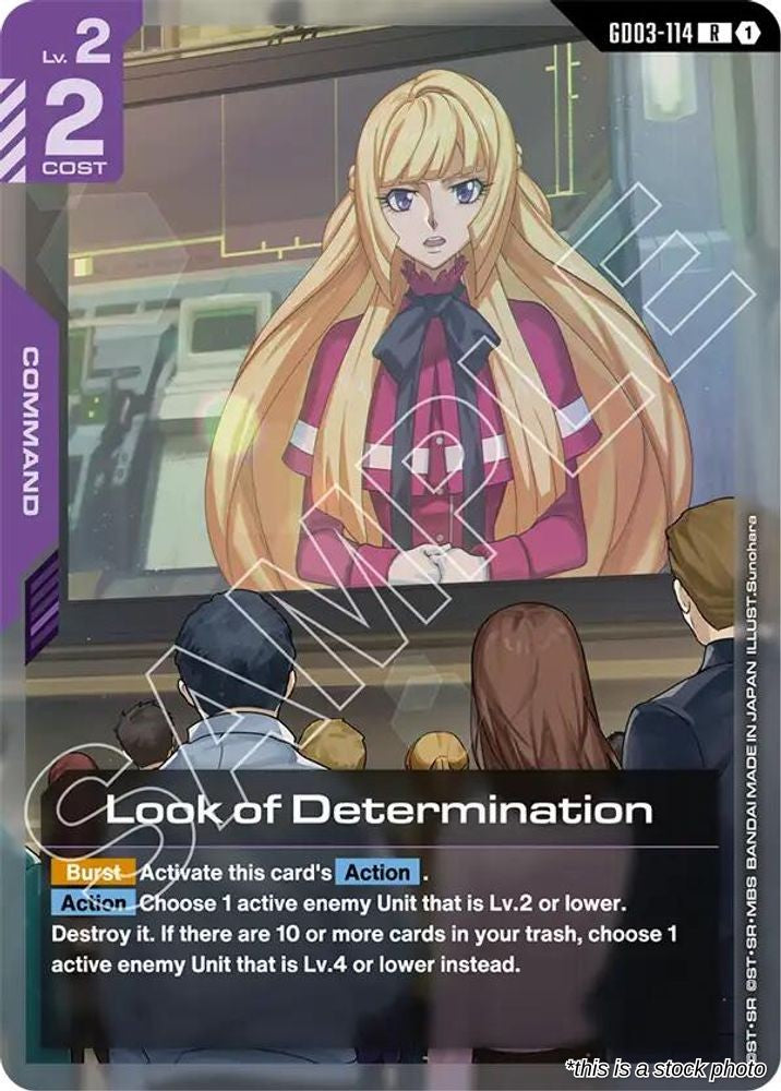 Look of Determination