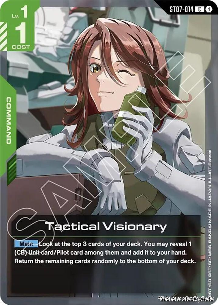 Tactical Visionary
