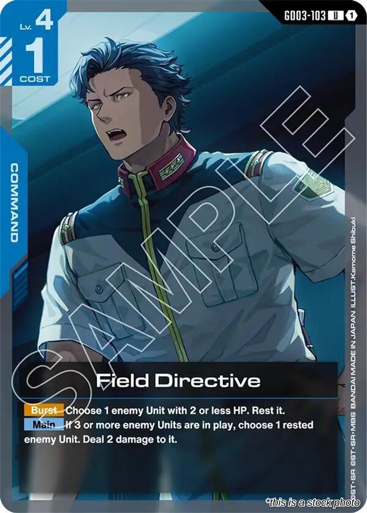 Field Directive