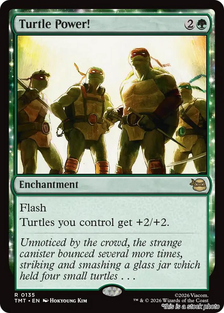 Turtle Power!