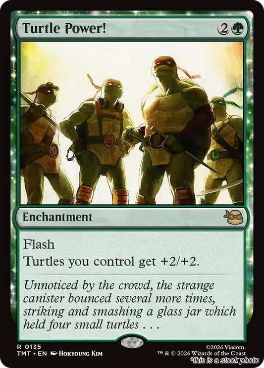 Turtle Power!