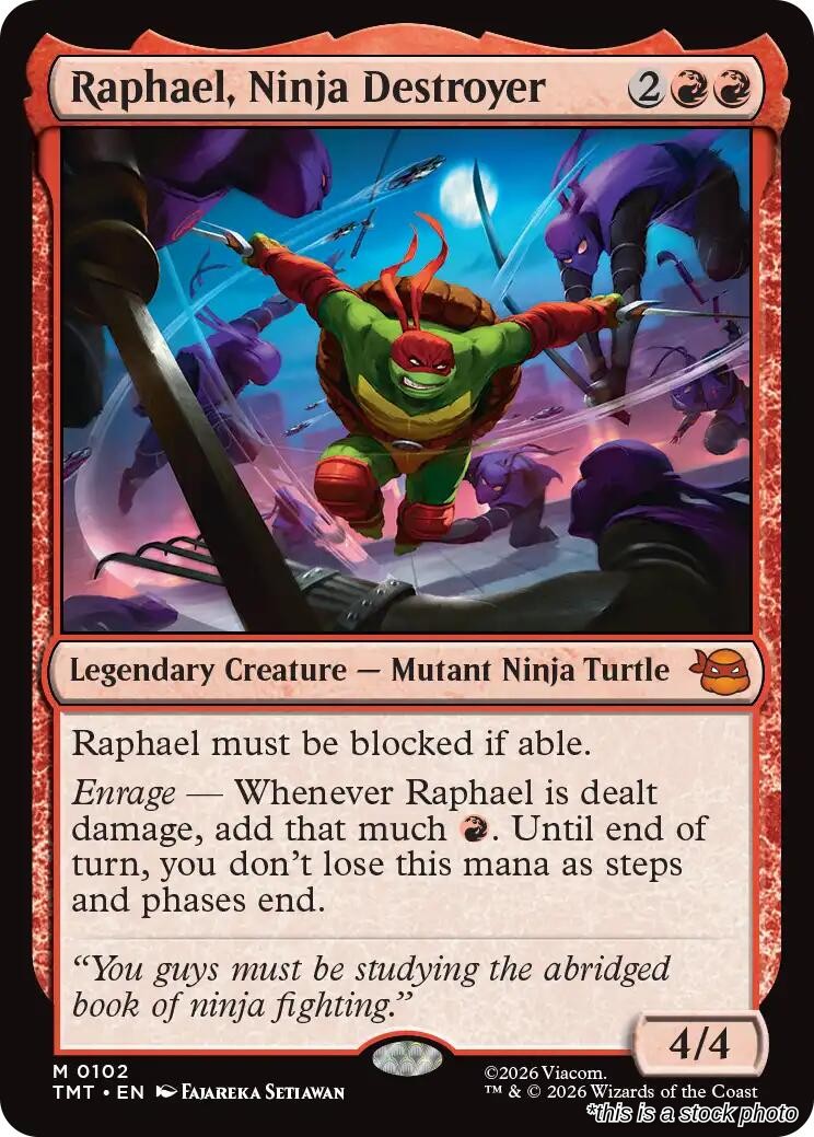 Raphael, Ninja Destroyer