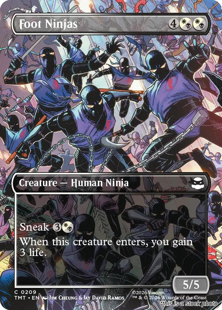 Foot Ninjas (Borderless)