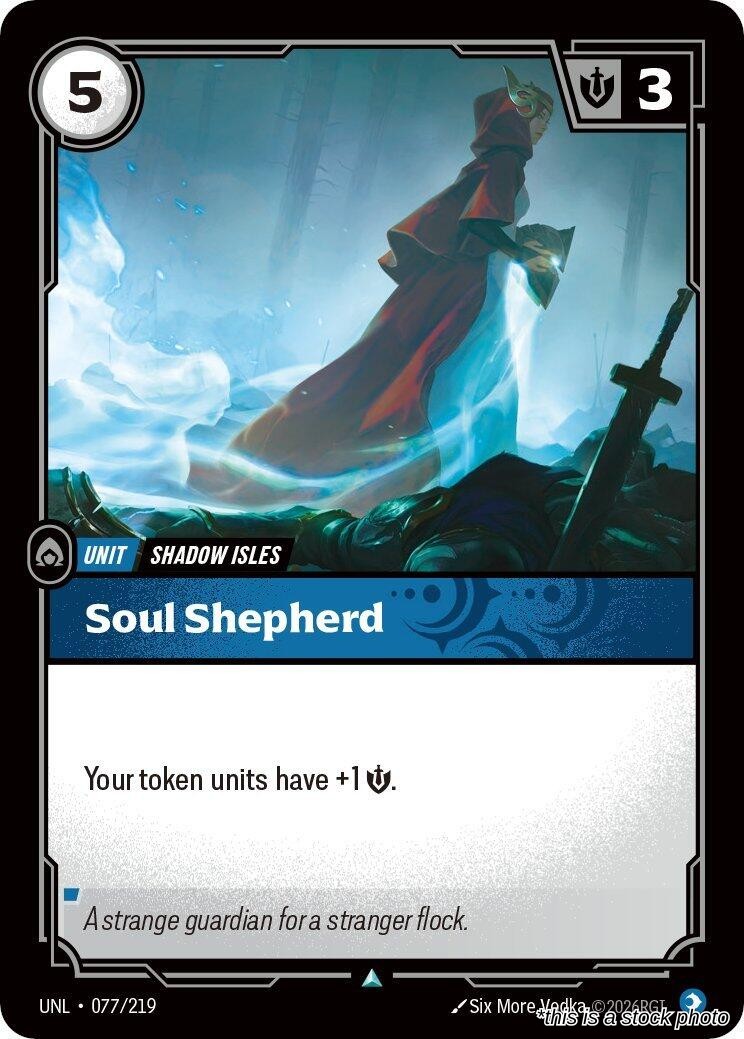 Soul Shepherd
