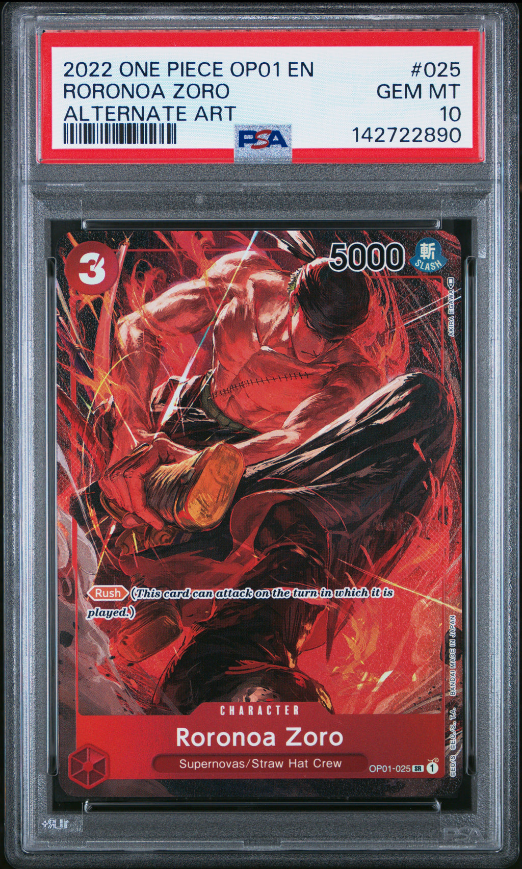 Roronoa Zoro (025) (Parallel)