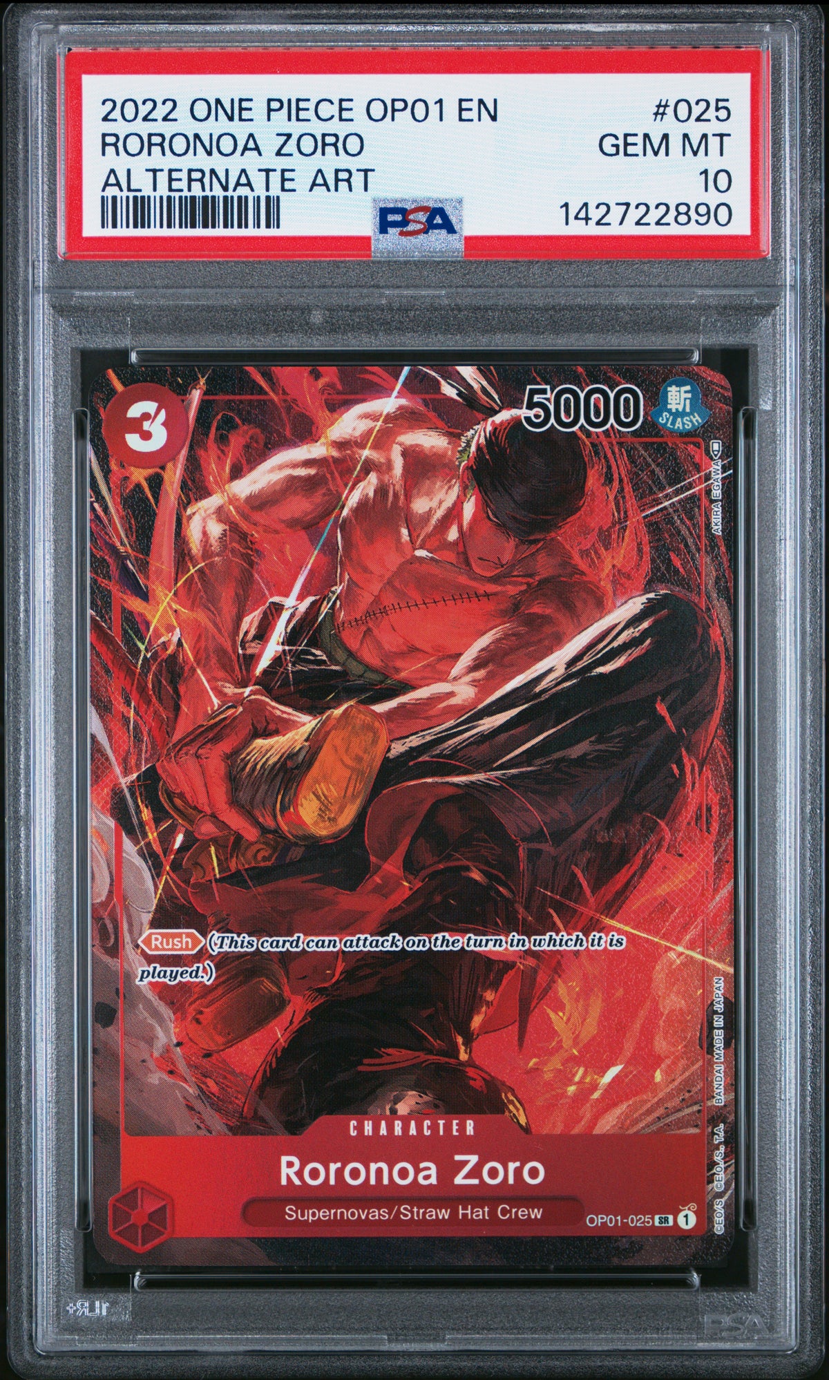 Roronoa Zoro (025) (Parallel)