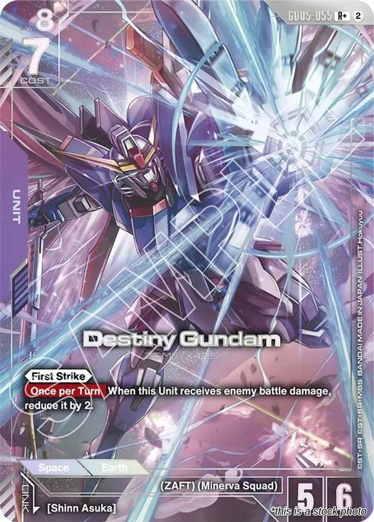 Destiny Gundam (R+)