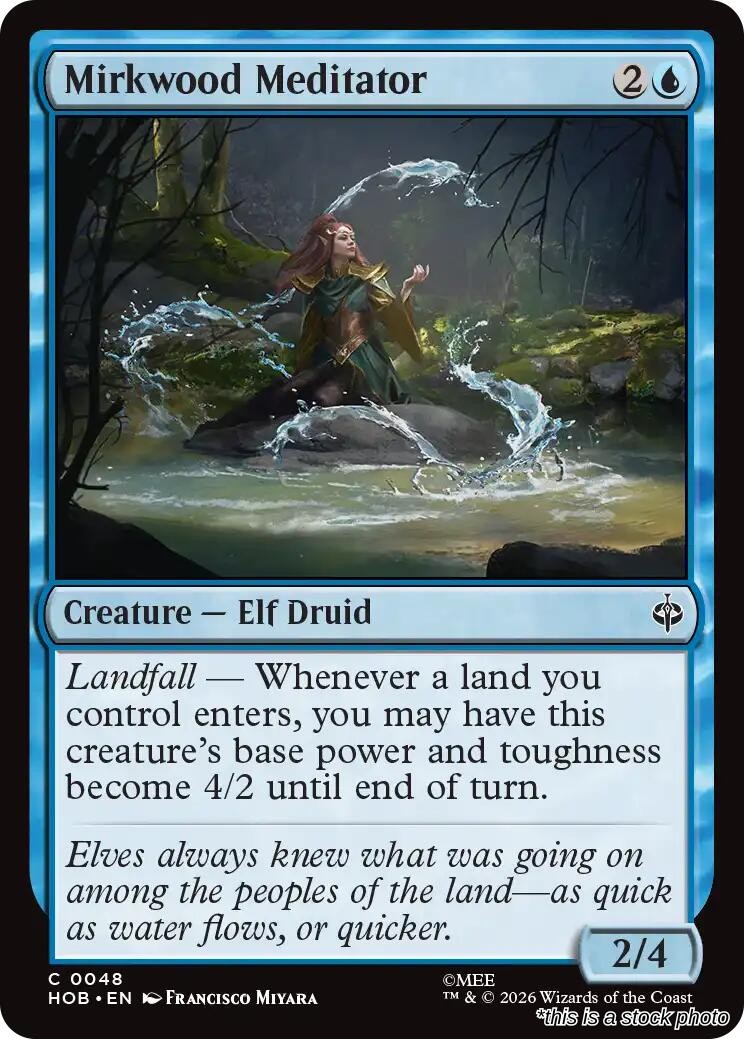 Mirkwood Meditator