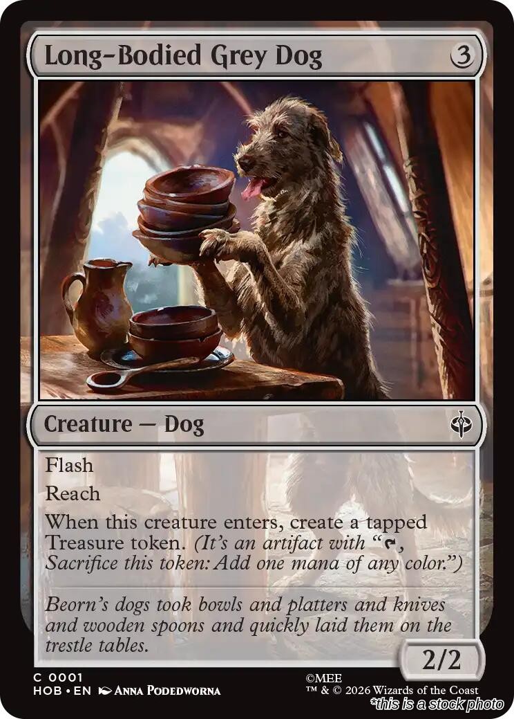 Long-Bodied Grey Dog