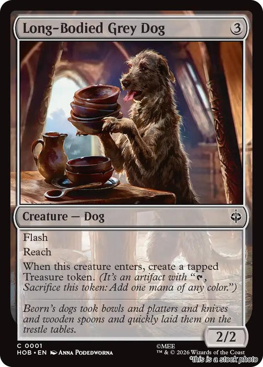 Long-Bodied Grey Dog